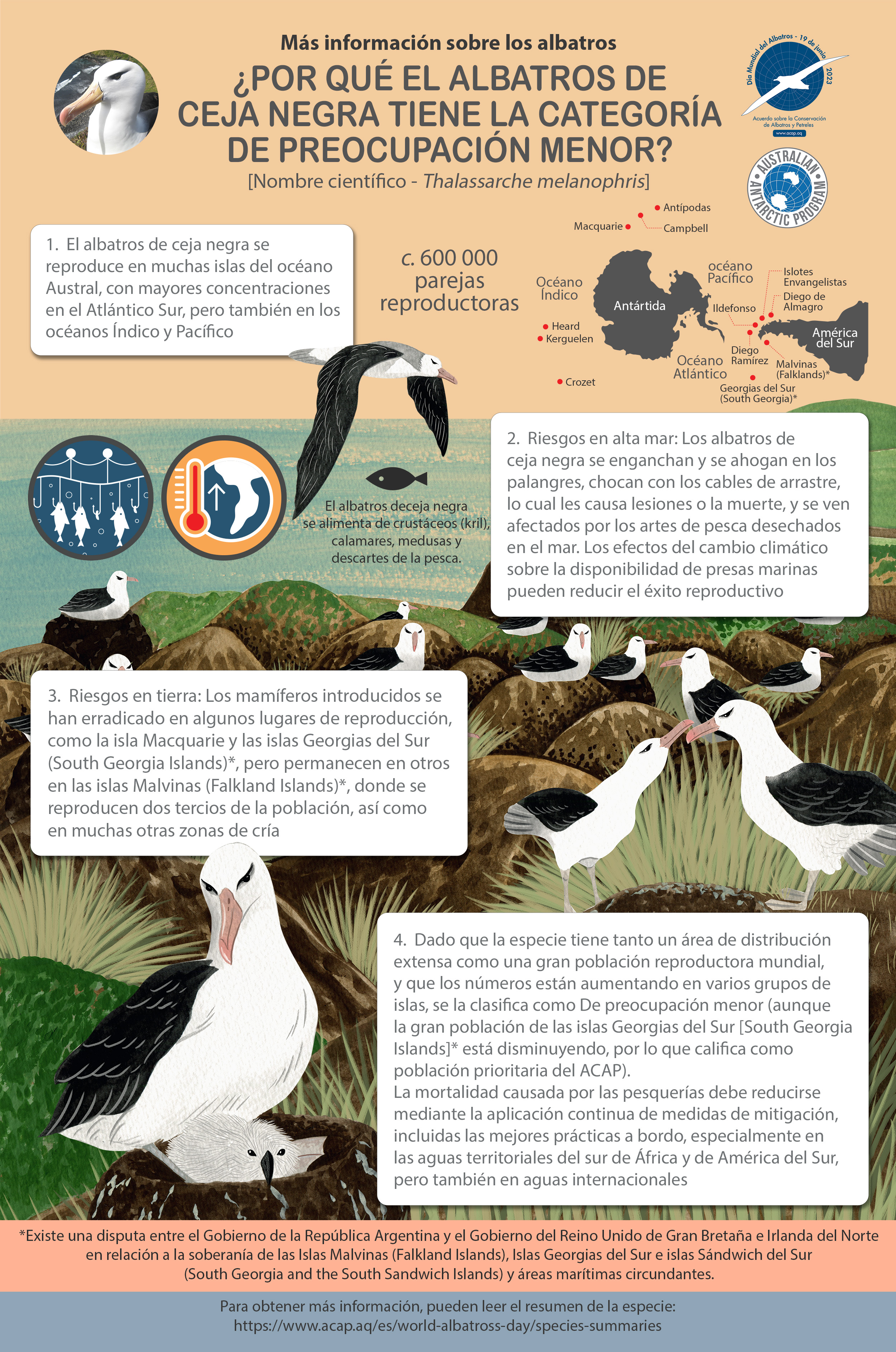 Black browed Albatross Infographic web version Spanish