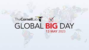Global Big Day 2023
