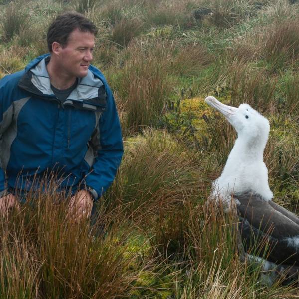 Saving albatrosses on a sub-Antarctic Island: a radio interview with Dr Anton Wolfaardt, Mouse-Free Marion Project Manager