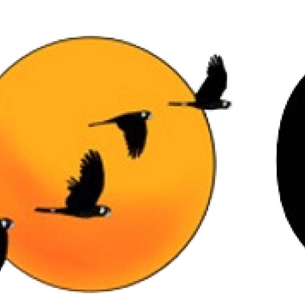 The 13th Australasian Ornithological Conference takes place in Perth this November