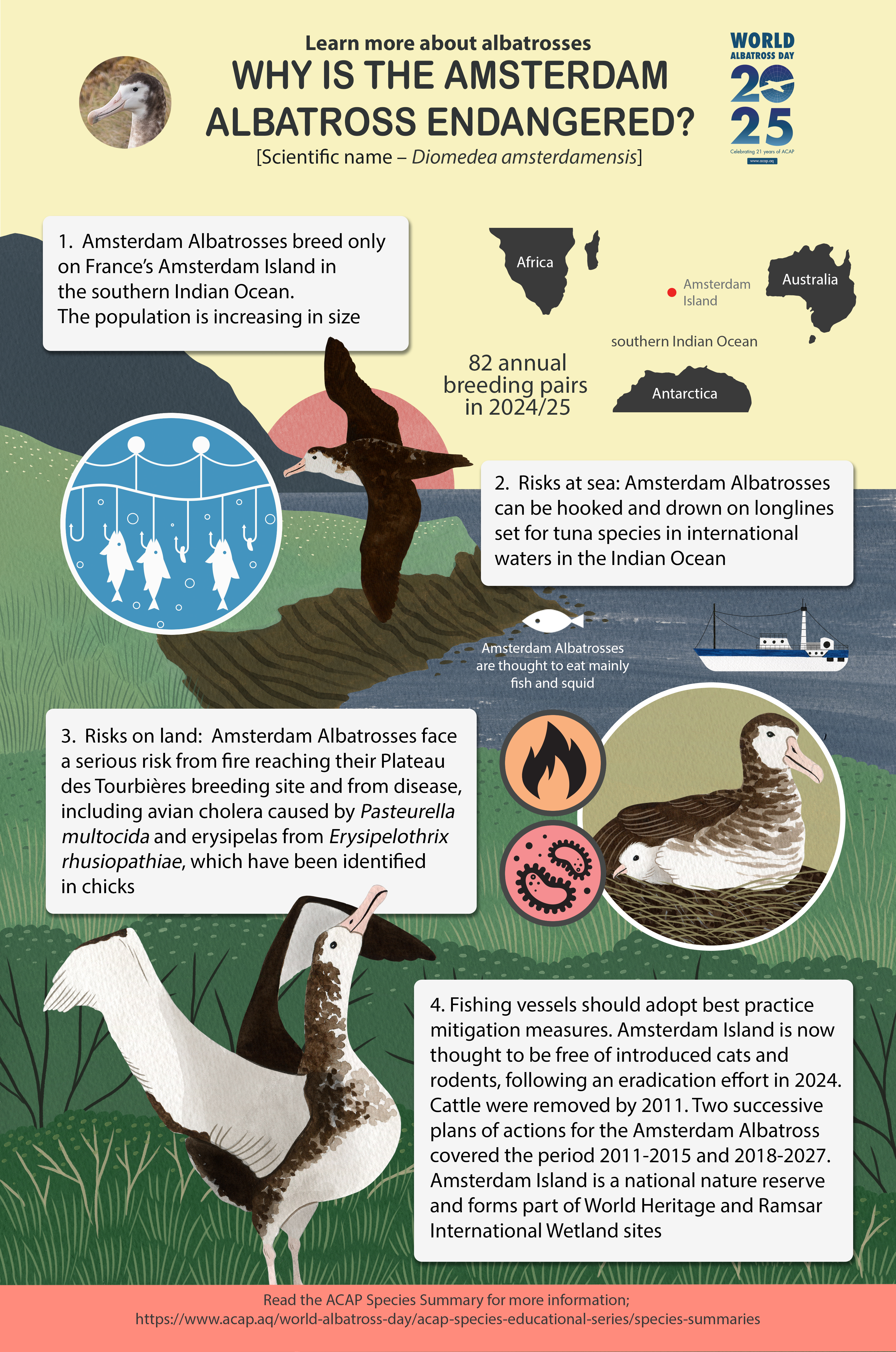 ACAP_Amsterdam_Albatross_infographic_med_e.jpg