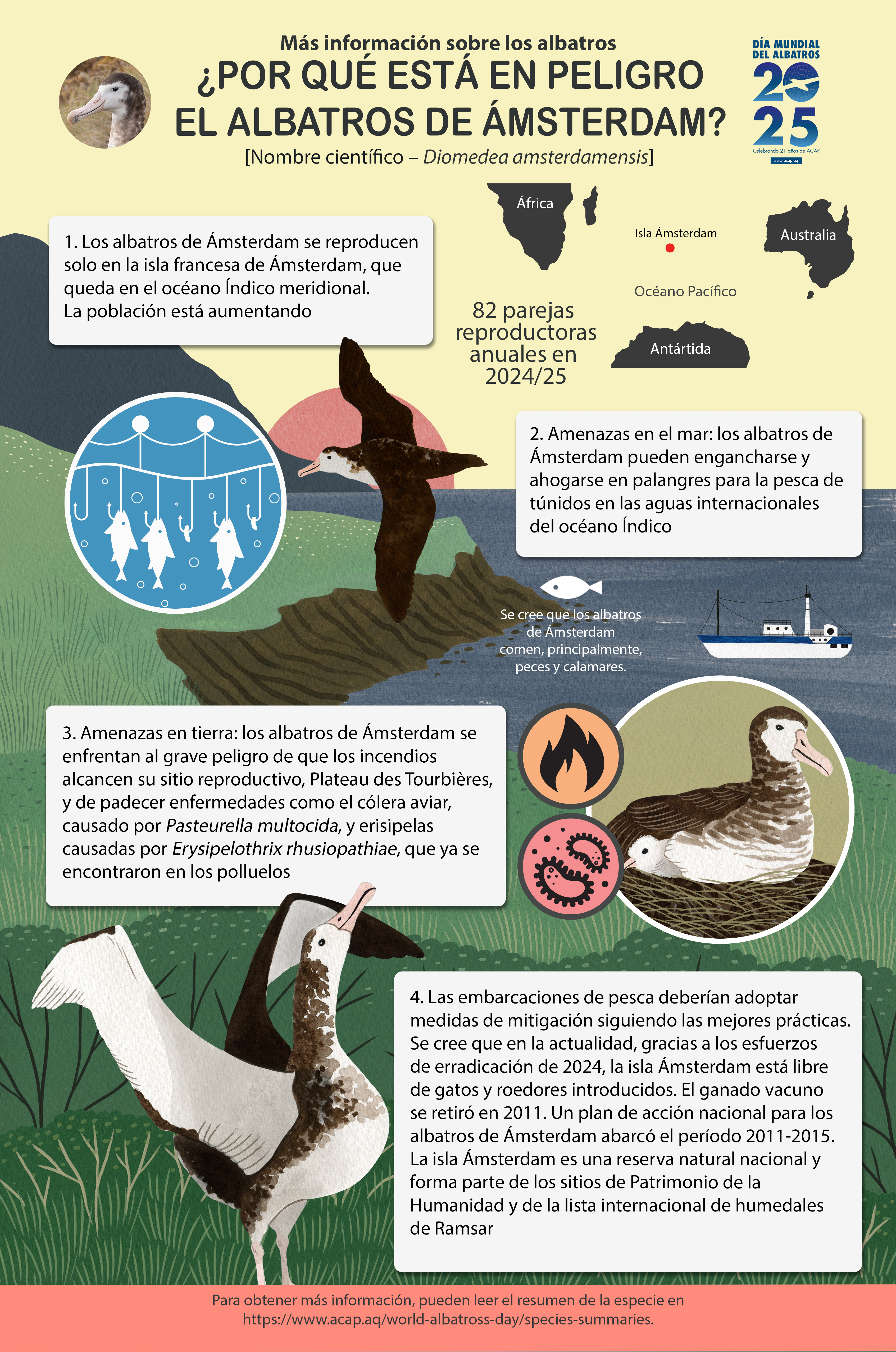 ACAP_Amsterdam_Albatross_infographic_med_s.jpg