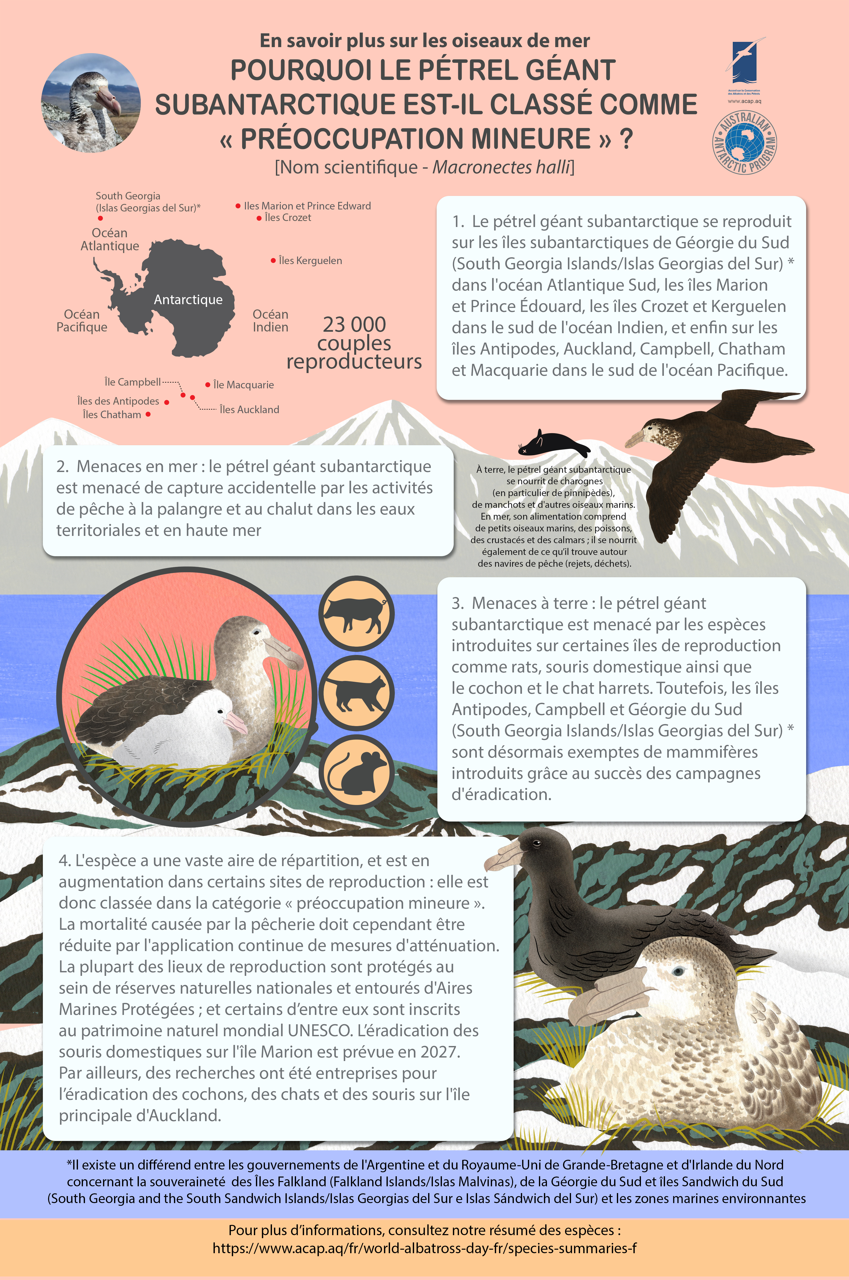 ACAP_Northern_Giant_Petrel_infographic_medium_f.jpg
