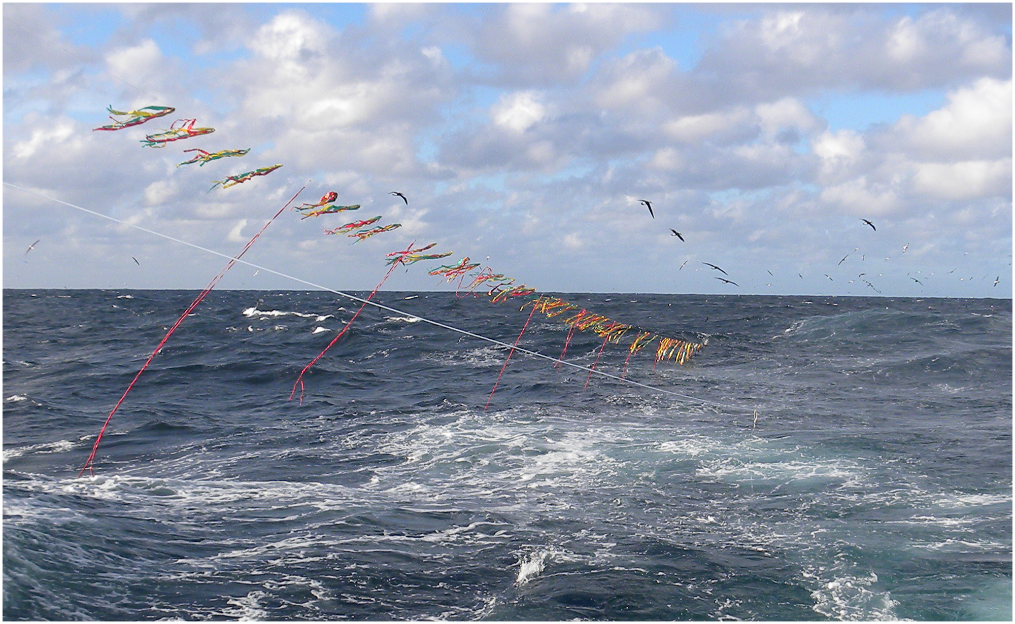 Bird Scaring line Domingo Jimenez