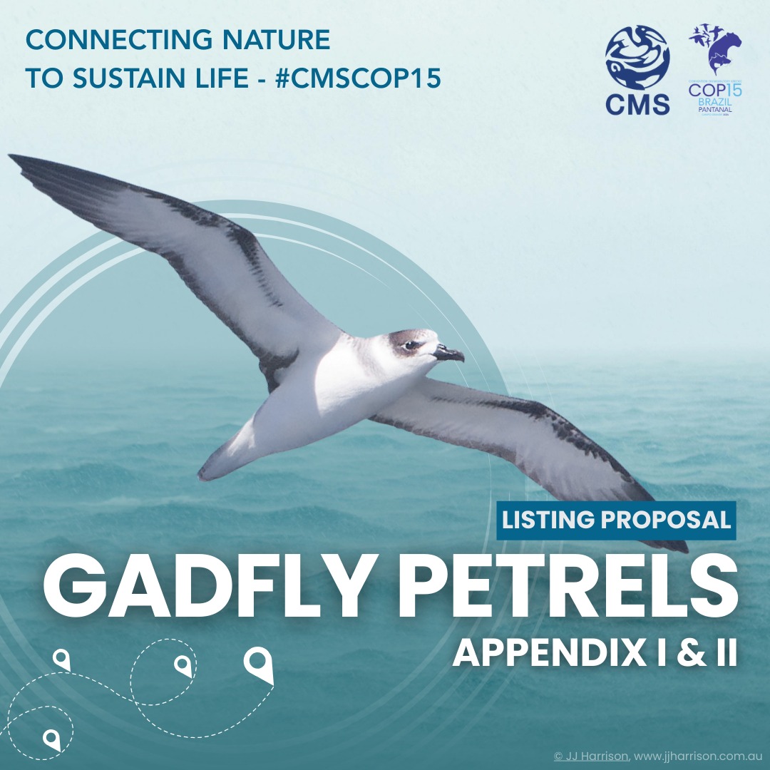 COP15