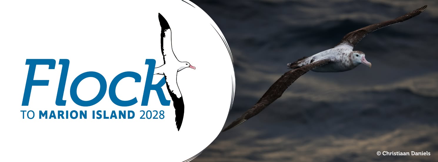 Flock 2028
