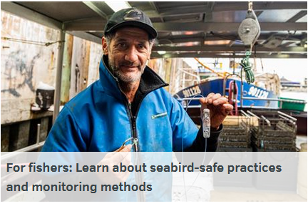 Seabird-Safe_Toolkit_Learn_about_seabird-safe_practices.jpeg