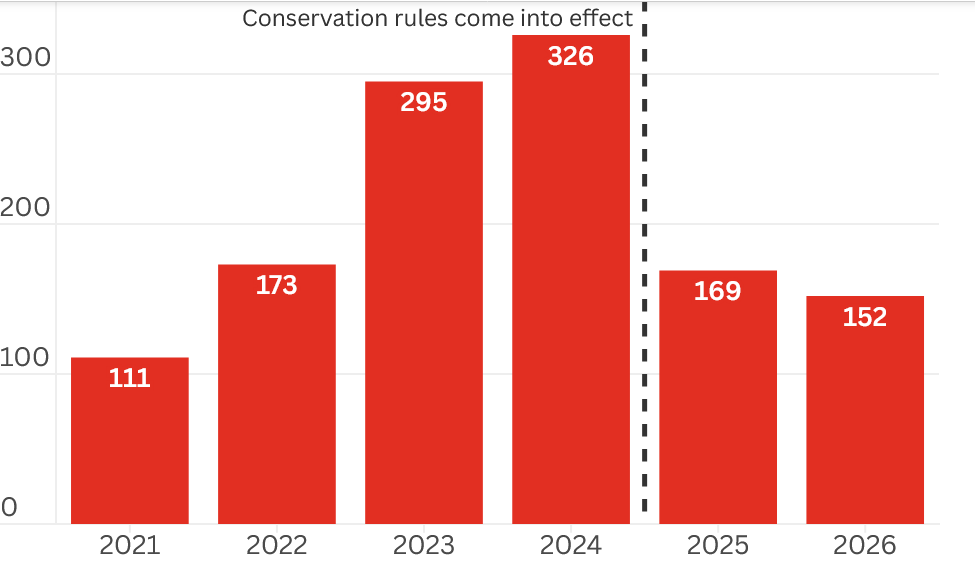 Seabird deaths plummet in nZ