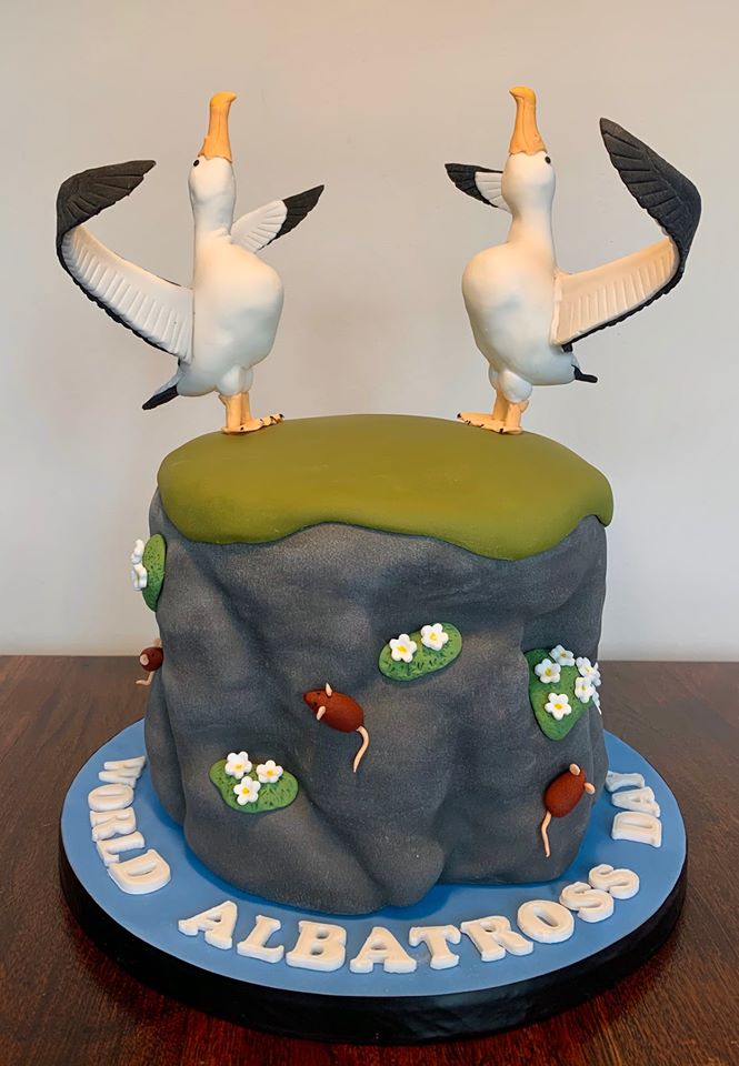 Agreement on the Conservation of Albatrosses and Petrels - First albatross  cake submitted to the World Albatross Day Great Albicake Bake Off! Black  Forest with whipped cream icing and chocolate shavings and