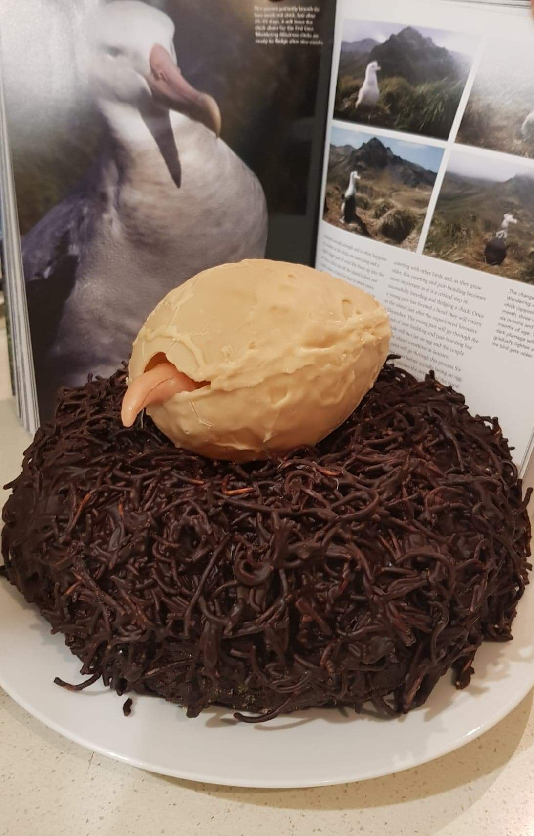 Emily Mowat Wanderer egg cake