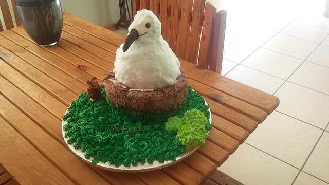 Antarctica birthday cake | Ocean cakes, Island cake, Ocean birthday cakes