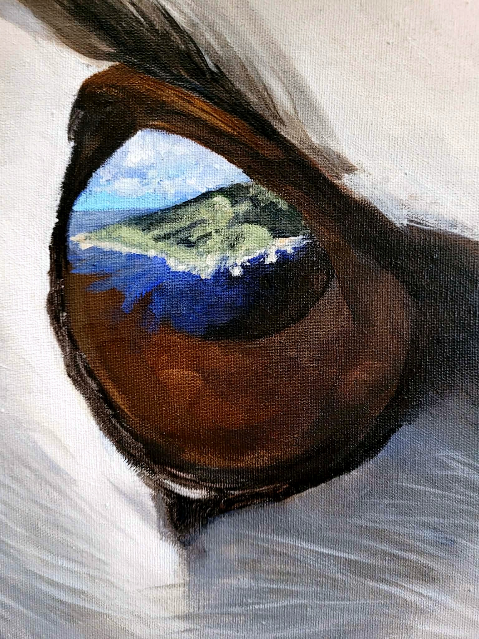 Kitty Harvill Dreaming of Gough Atlantic Yellow nosed Albatross close up of eye photo Chris Jones