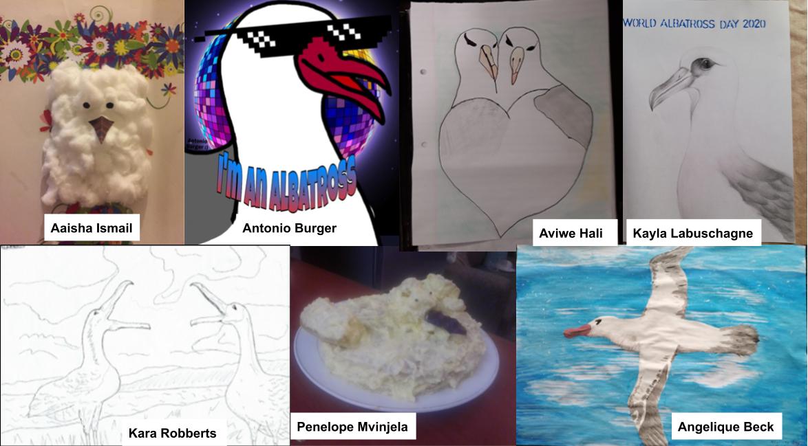 PH Albatross Creative Class Competition Winners 2