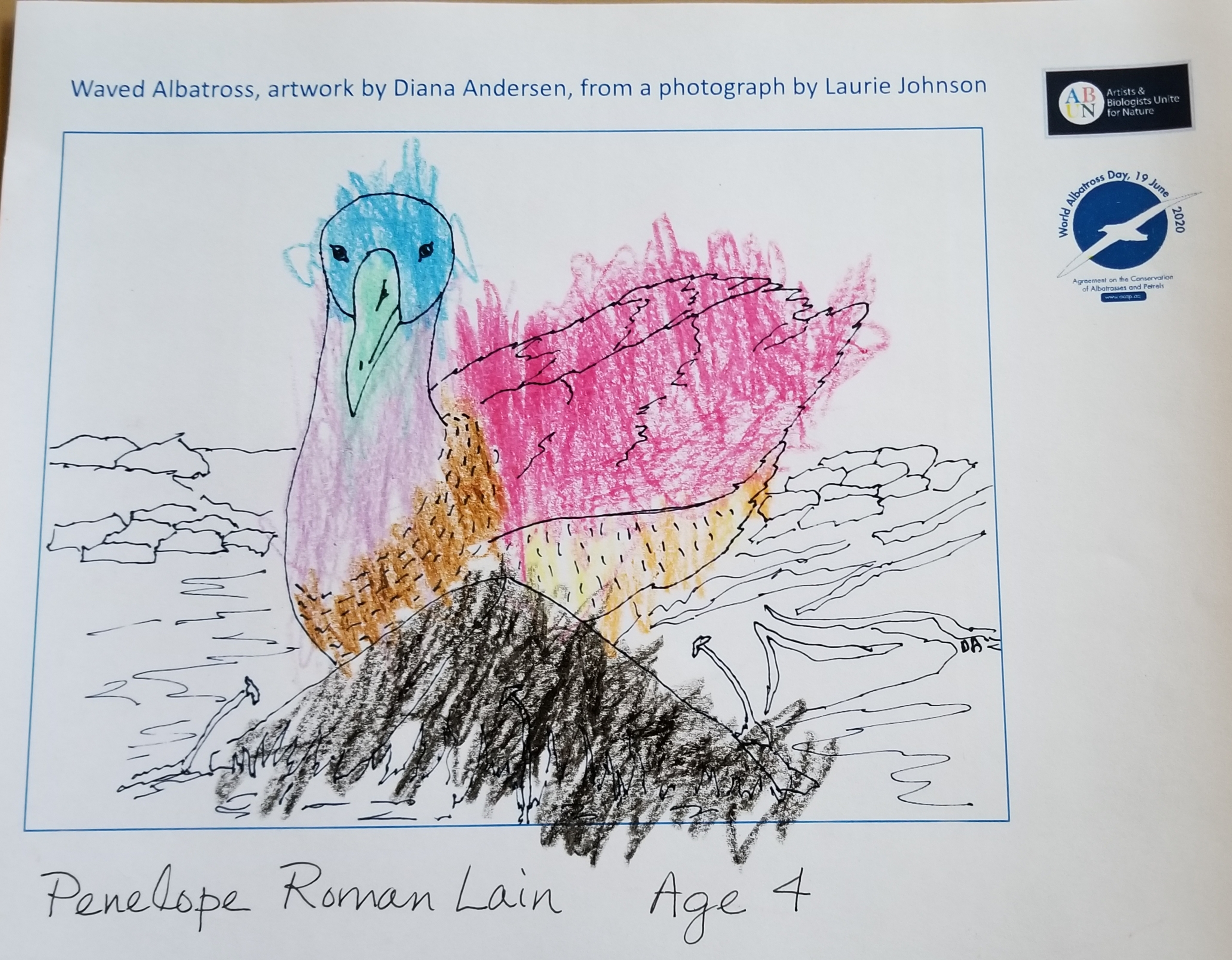 Agreement On The Conservation Of Albatrosses And Petrels Day Two Of World Albatross Week The Colouring In Competition Gets Off To A Slow Start So Round Up Your Nieces And