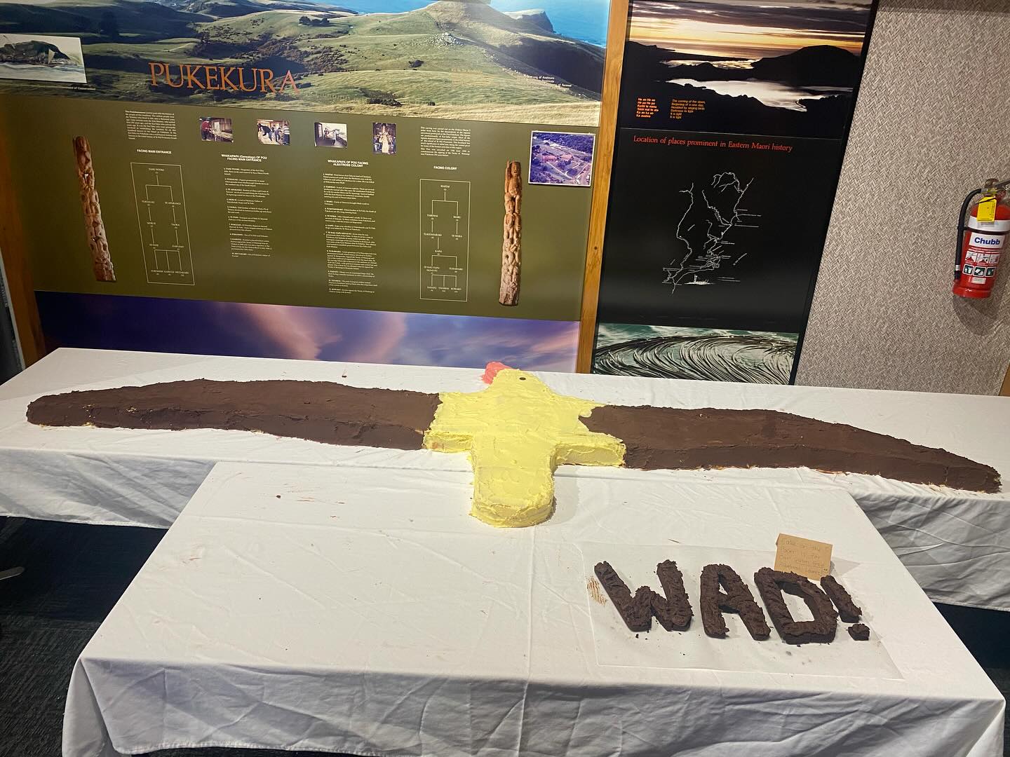 Royal Albatross Centre WAD2025 albicake 2