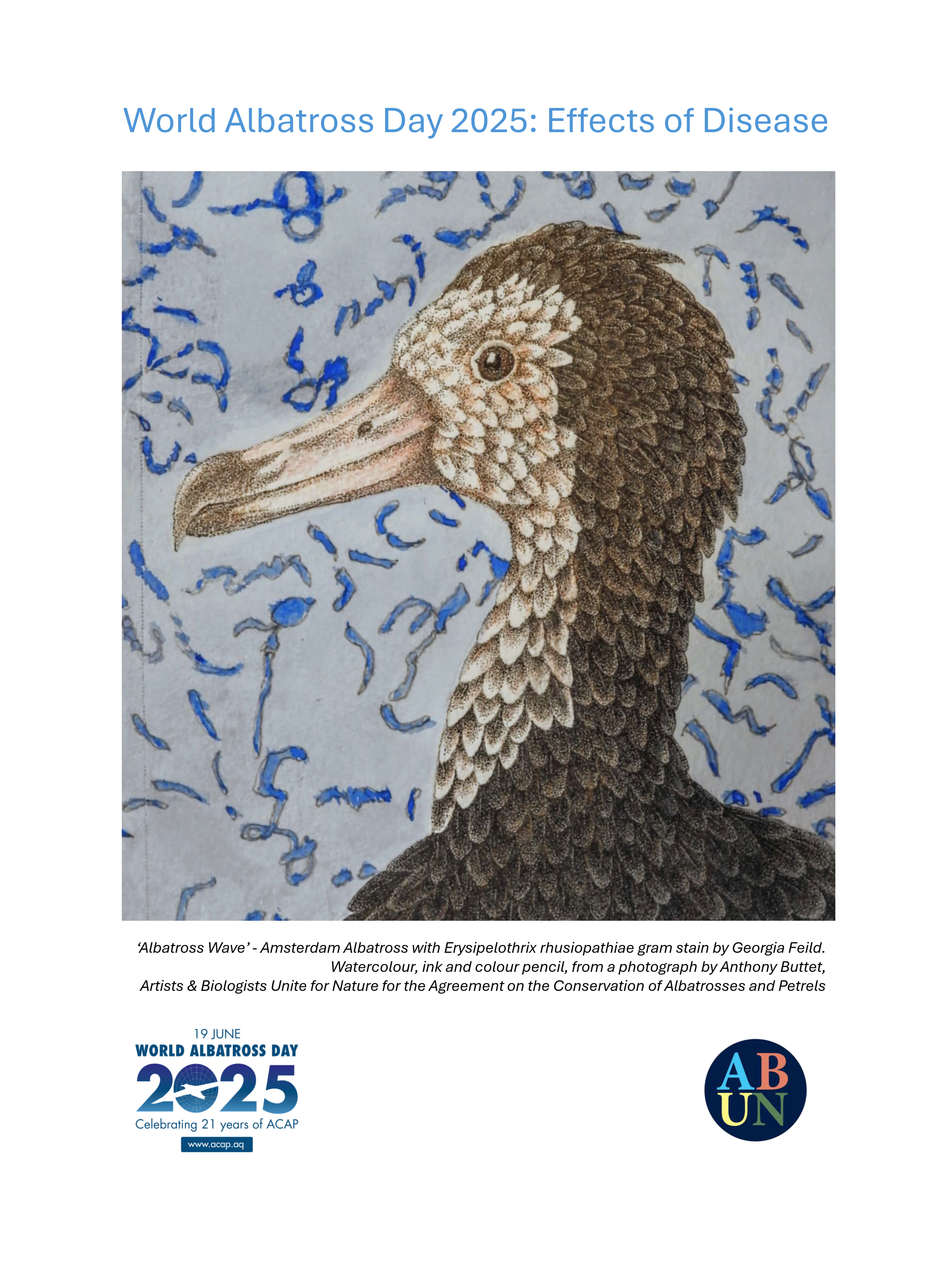 WAD2025 Amsterdam Albatross with Erysipelothrix rhusiopathiae gram stain by Georgia F Feild