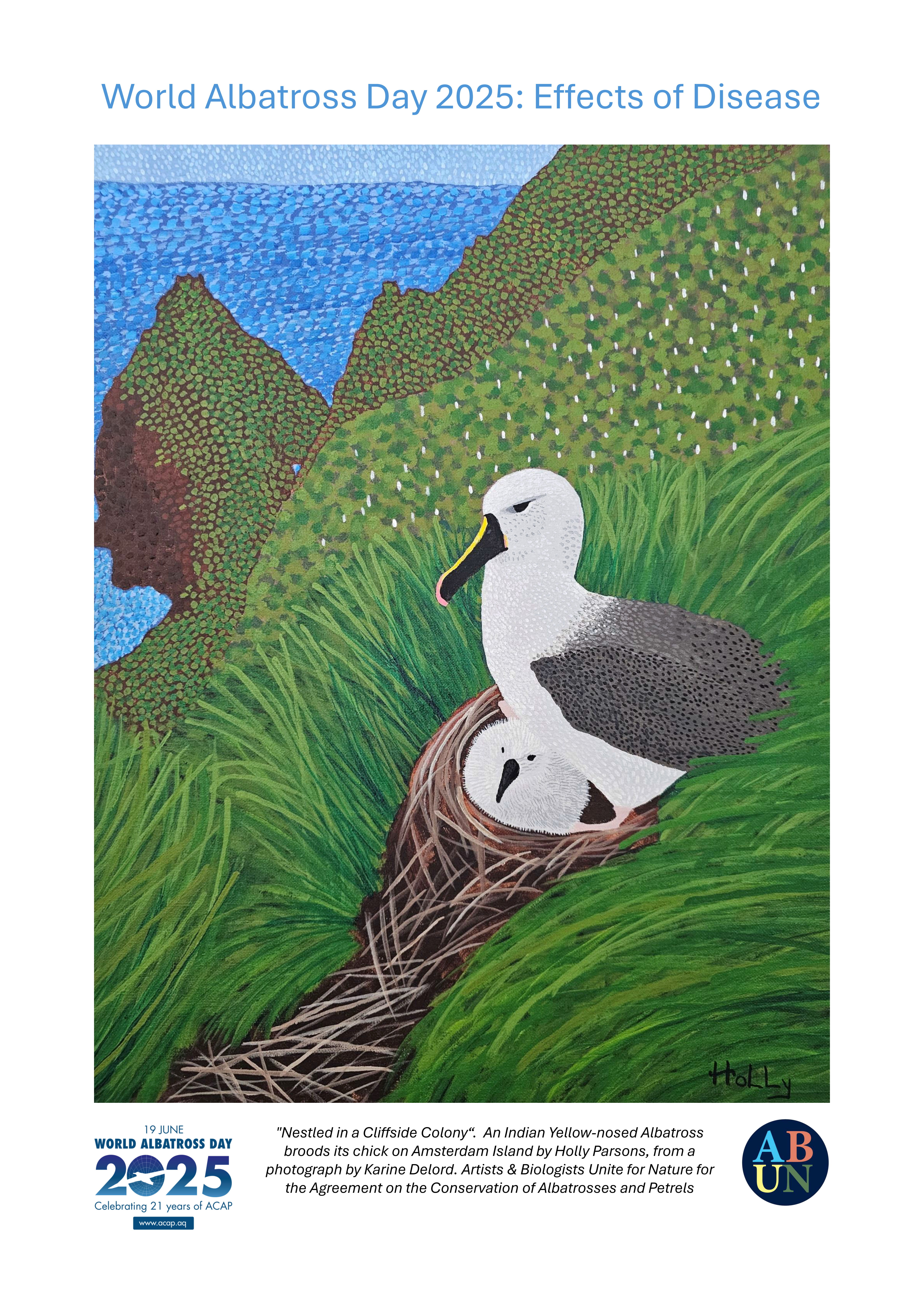 WAD2025 Indian Yellow nosed Albatross Holly Parsons