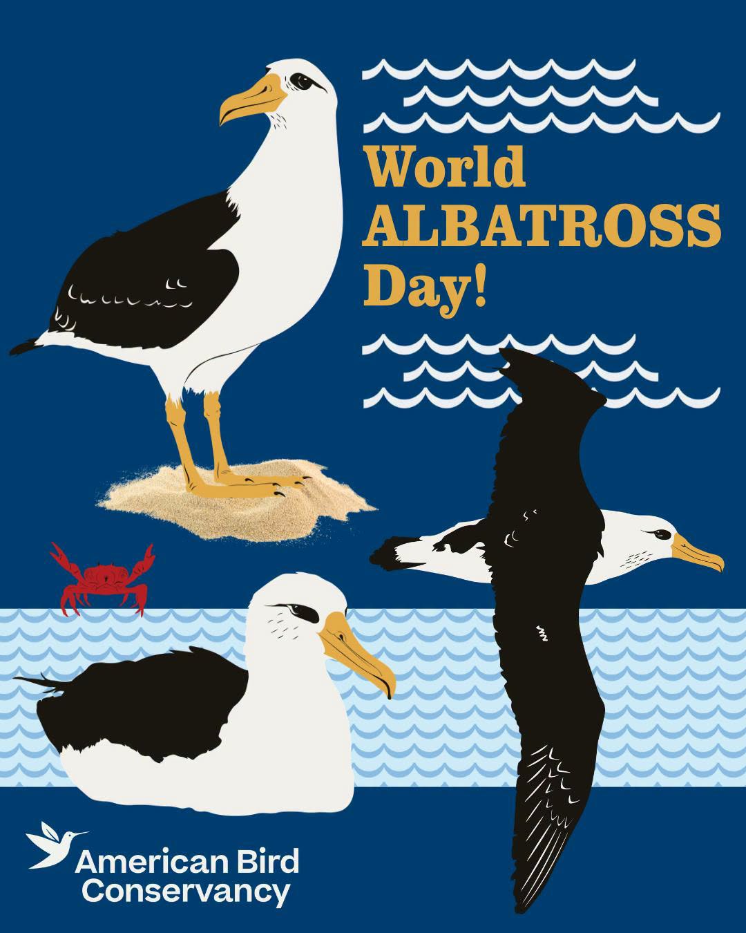 ABC WAD poster