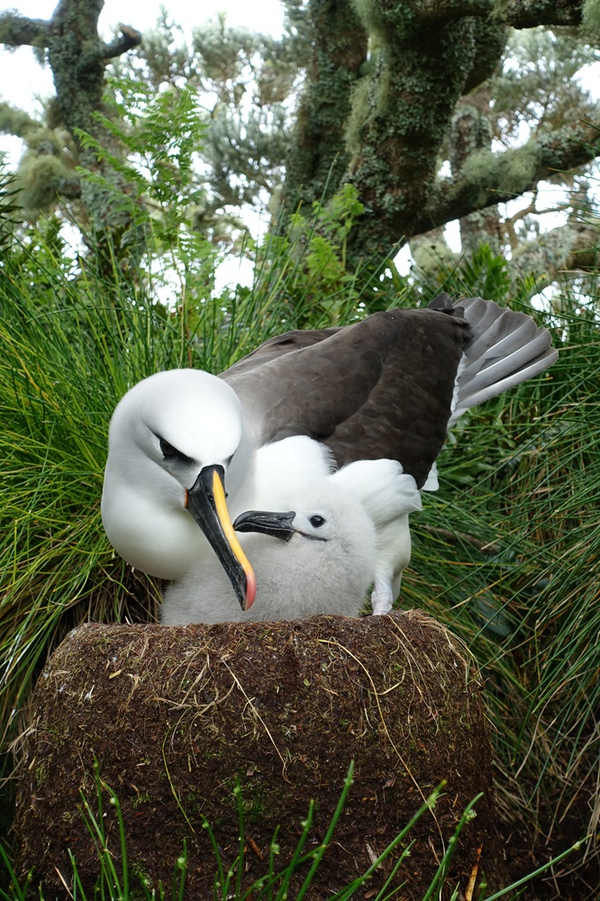 AYNA Michelle Risi 3 resized