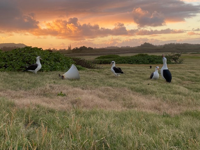 Decoys and speaker James Campbell 2020