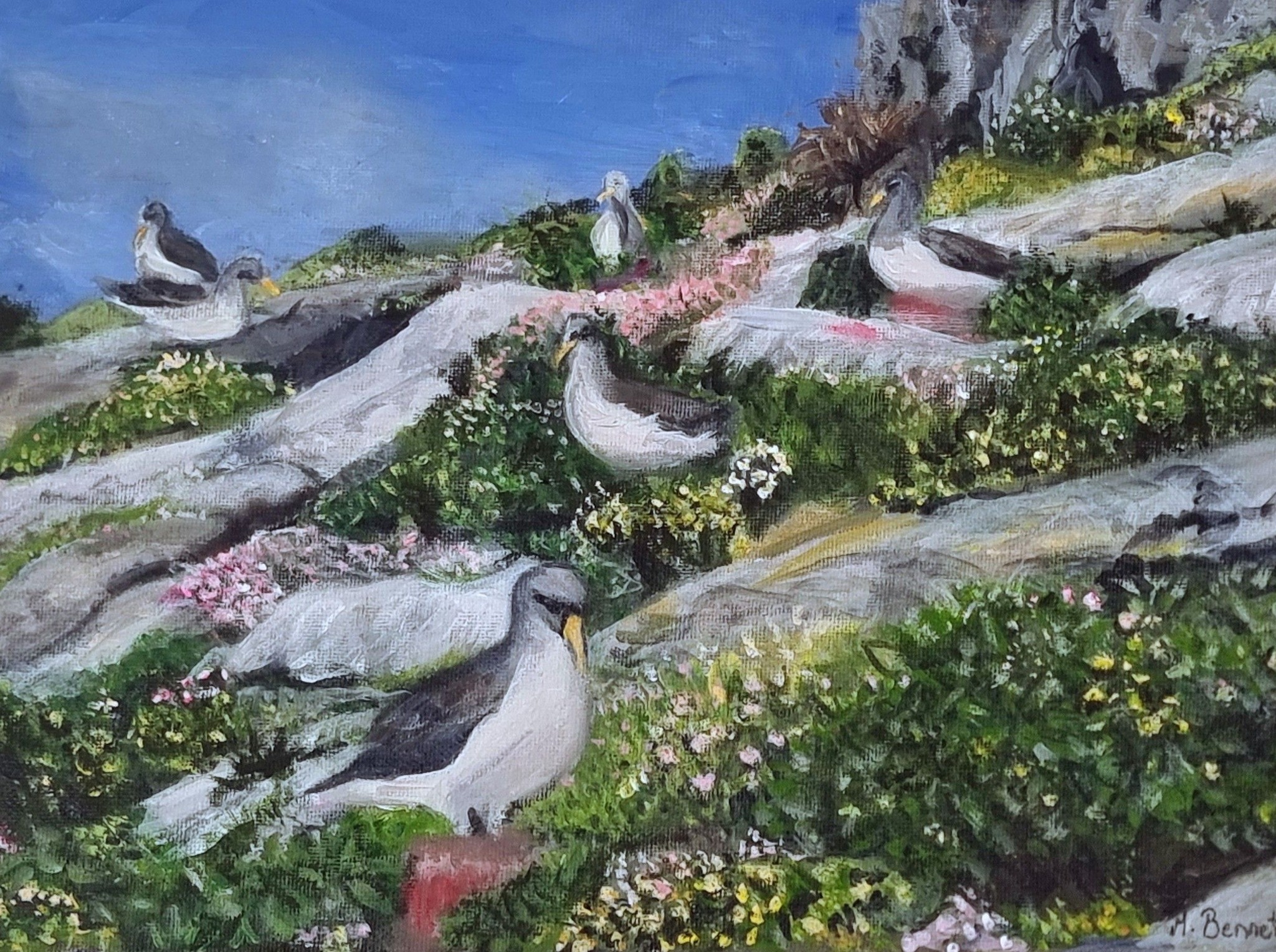 Maureen Bennetts Chatham Albatrosses Home Sweet Home Lorna Deppe