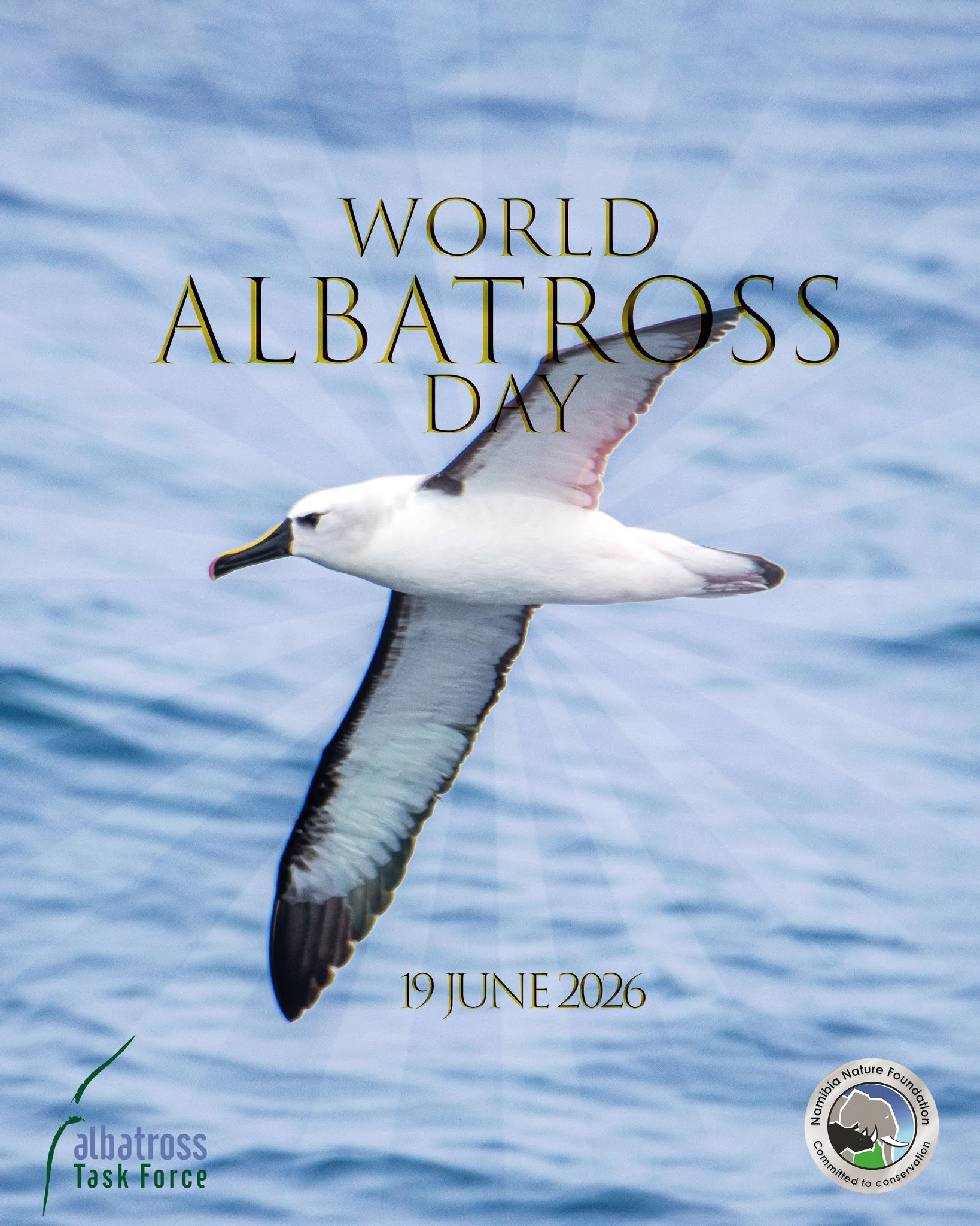 NNF WAD2026 poster
