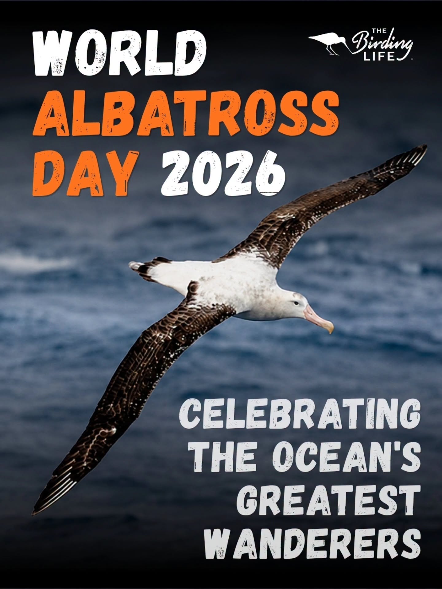 The Birding Life WAD2026 poster