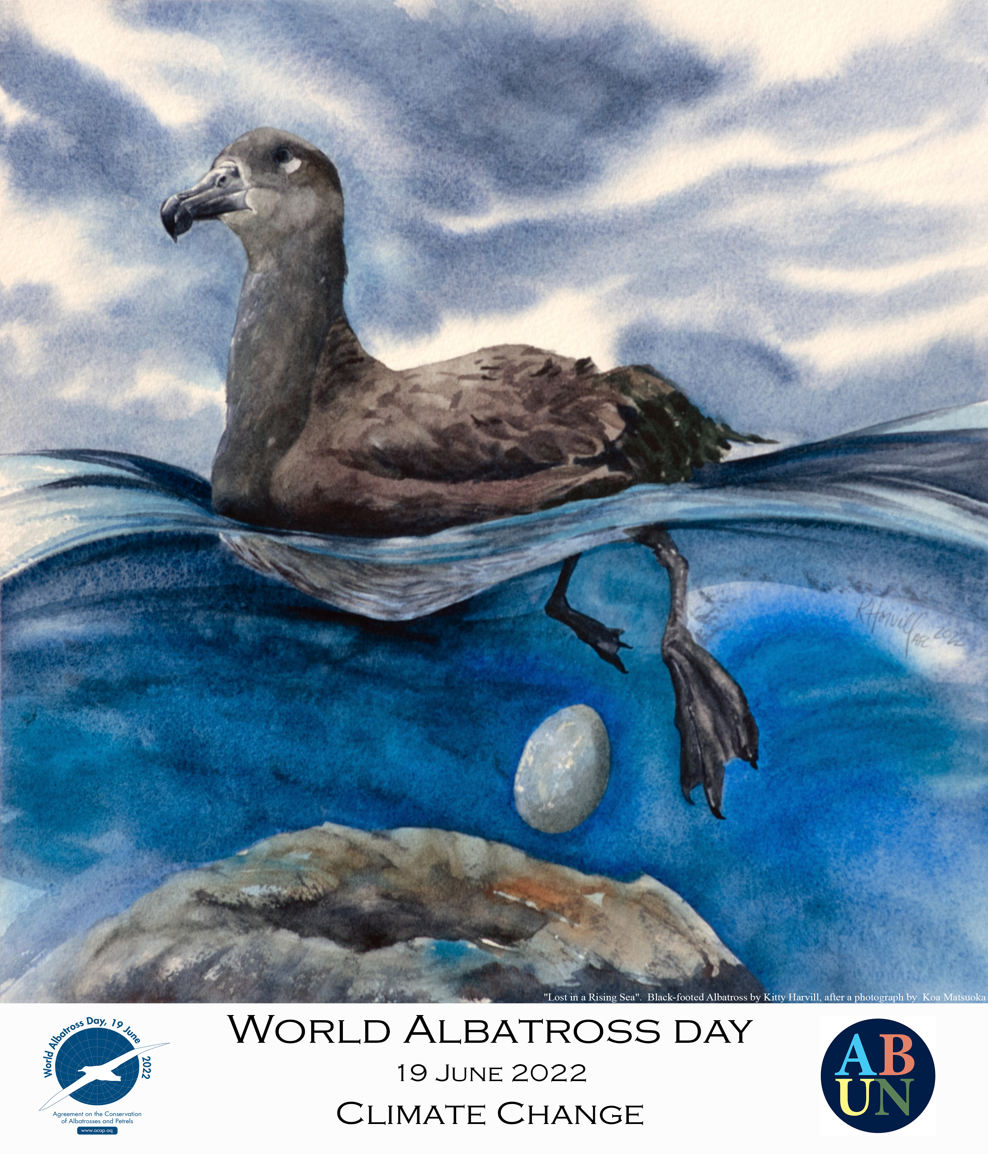 Art Poster Lost in a Rising Sea Black footed Albatross by Kitty Harvill after a photograph by Koa Matsuoka