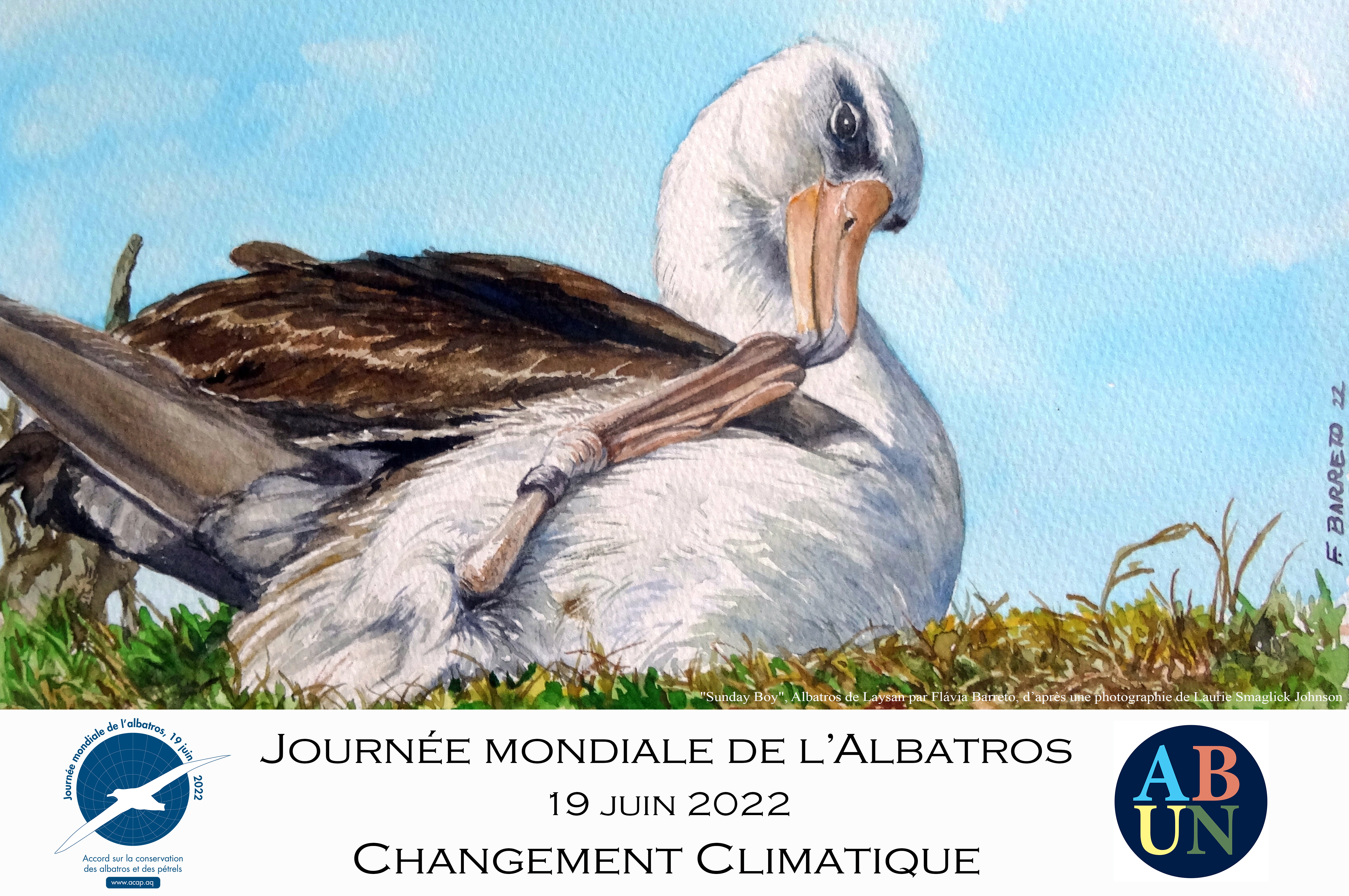 Fr Sunday Boy Laysan Albatross by Flávia Barreto after a photograph by Laurie Smaglick Johnson French