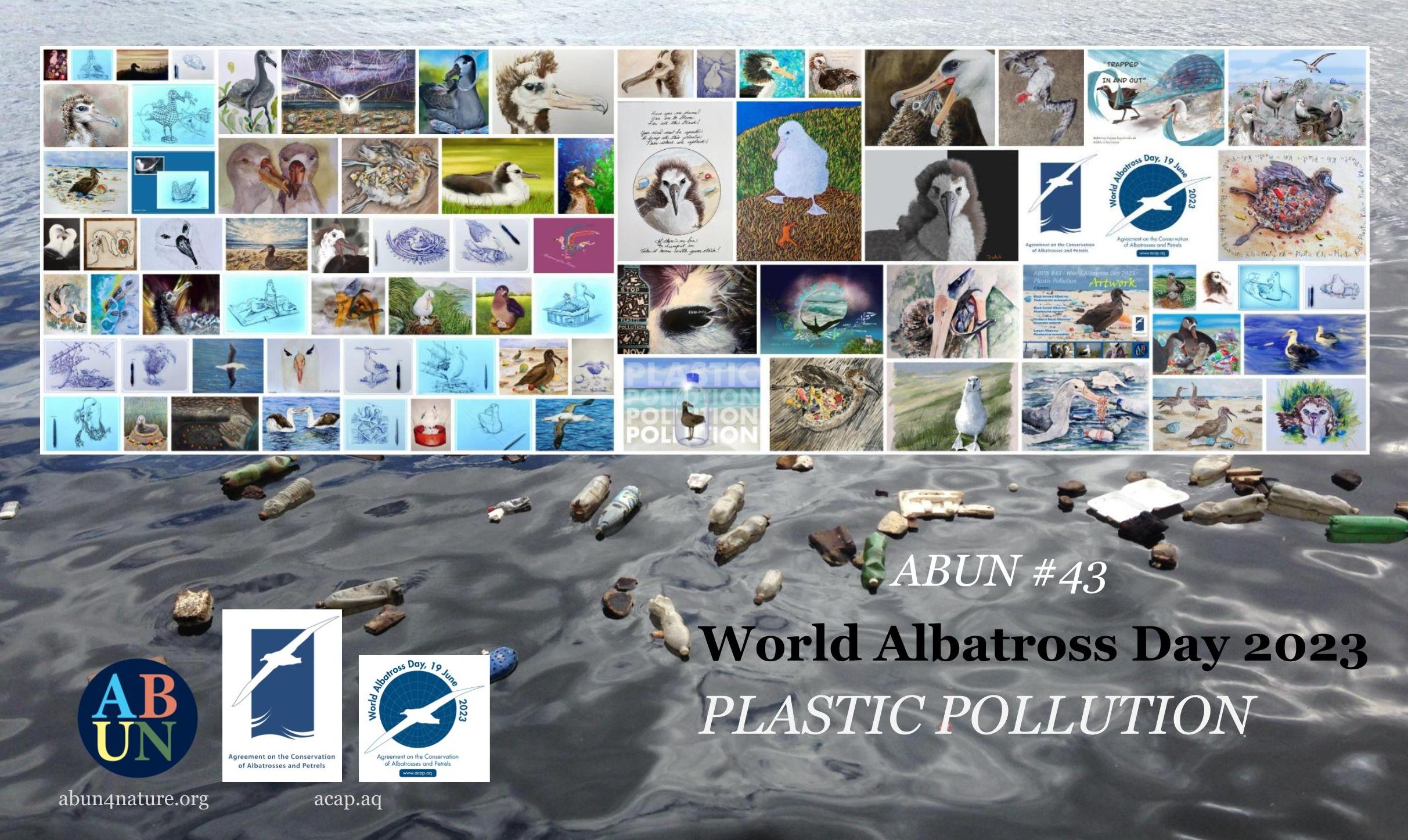 AA Plastic Pollution collage poster
