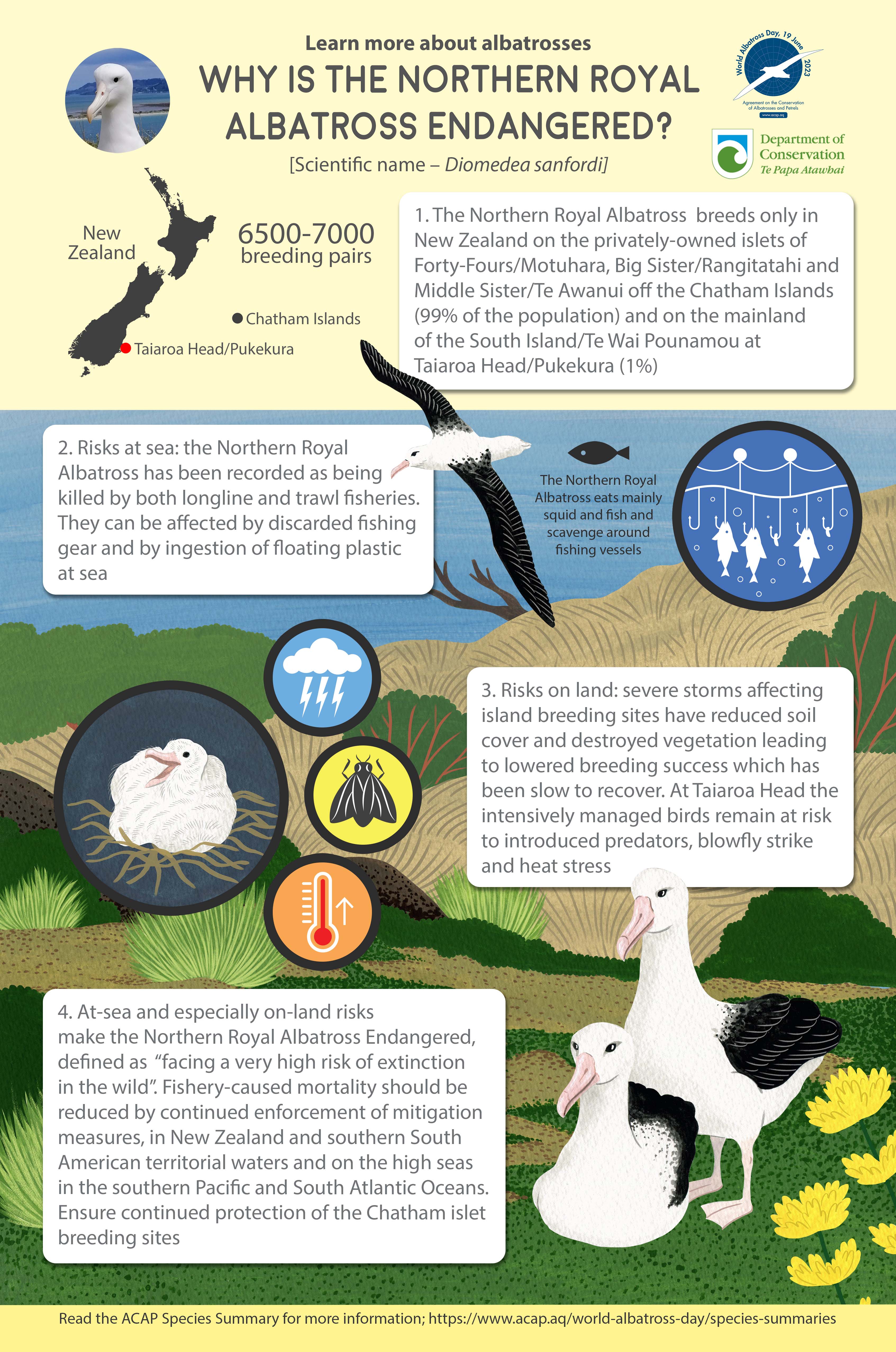 infographic endangered species