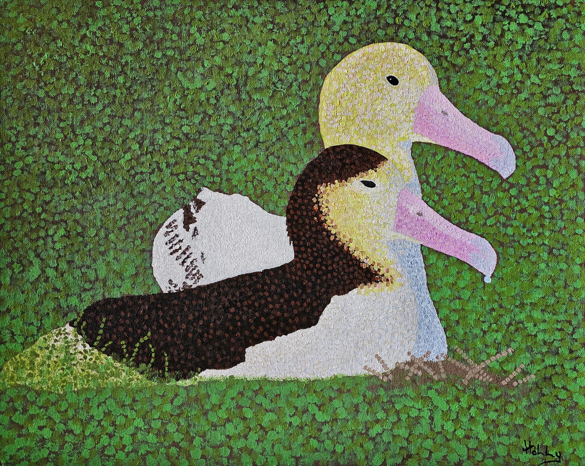 Holly Parsons Short tailed Albatrosses George and Geraldine after Jonathon Plissner