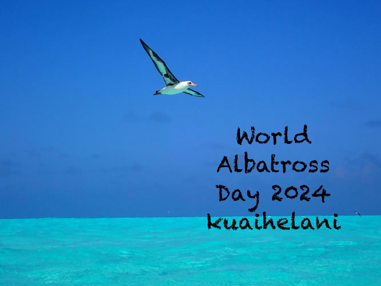 Photo by USFWS Volunteer Keelee Martin on behalf of the Friends of Midway Atoll