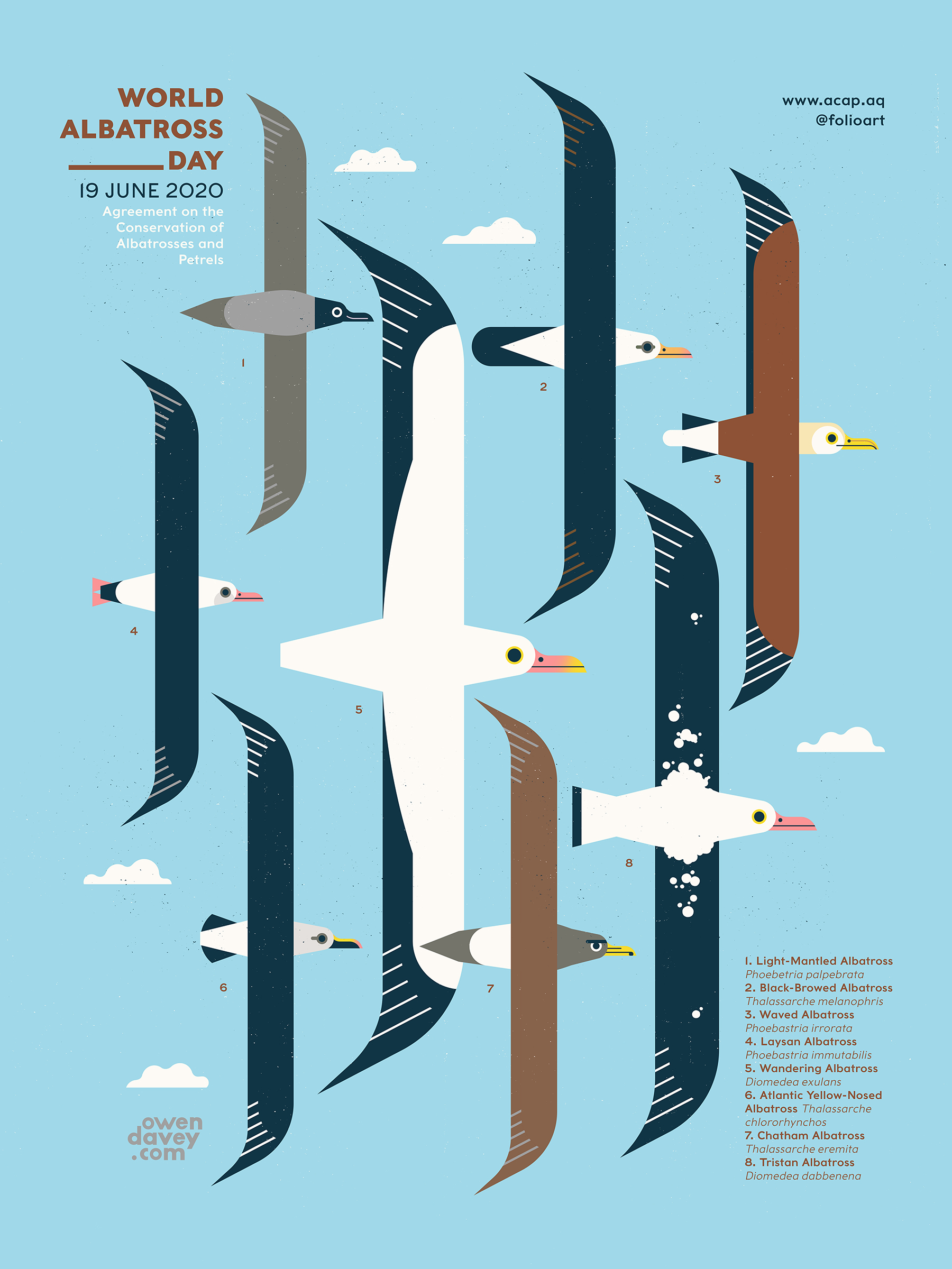 World Albatross Day Web