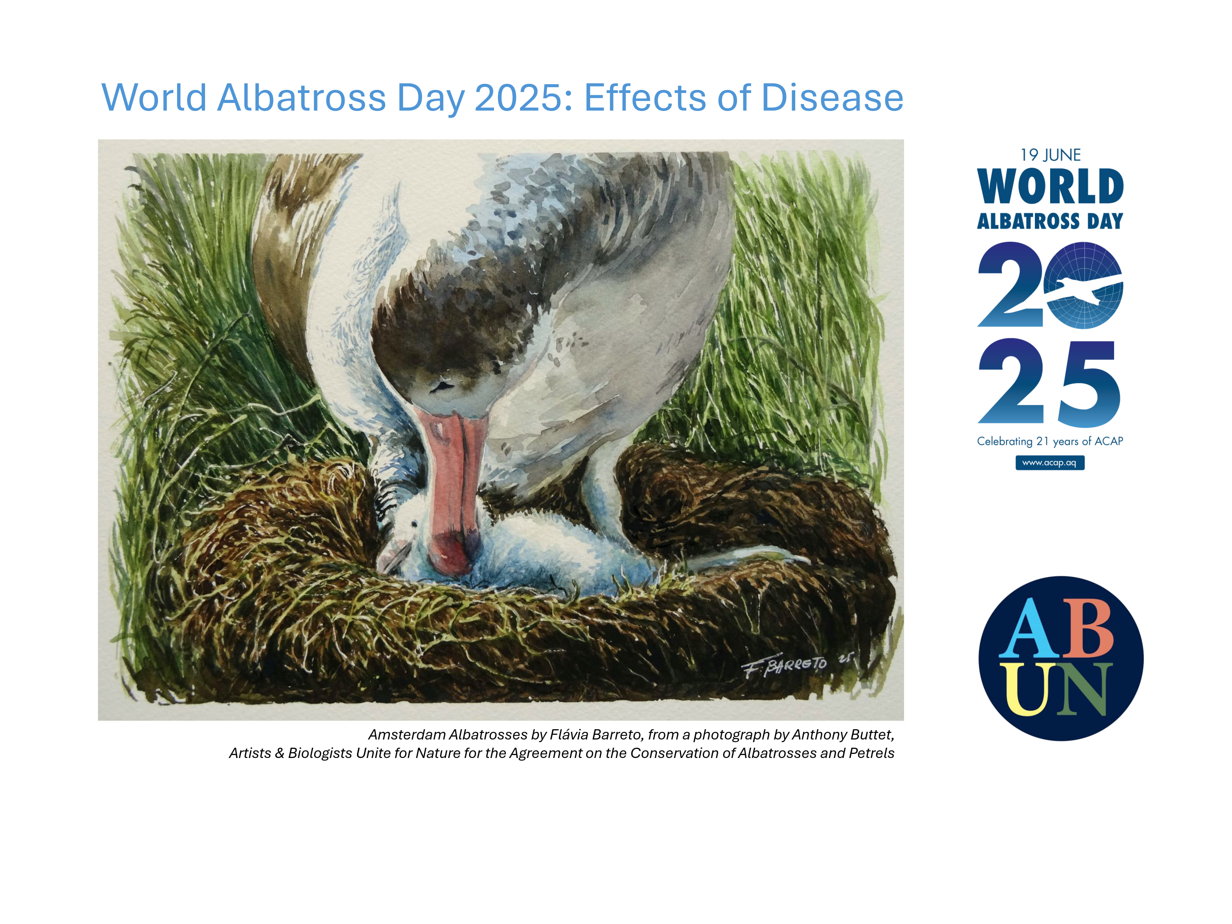 WAD2025_Amsterdam_Albatrosses_by_Flávia_Barreto.jpg