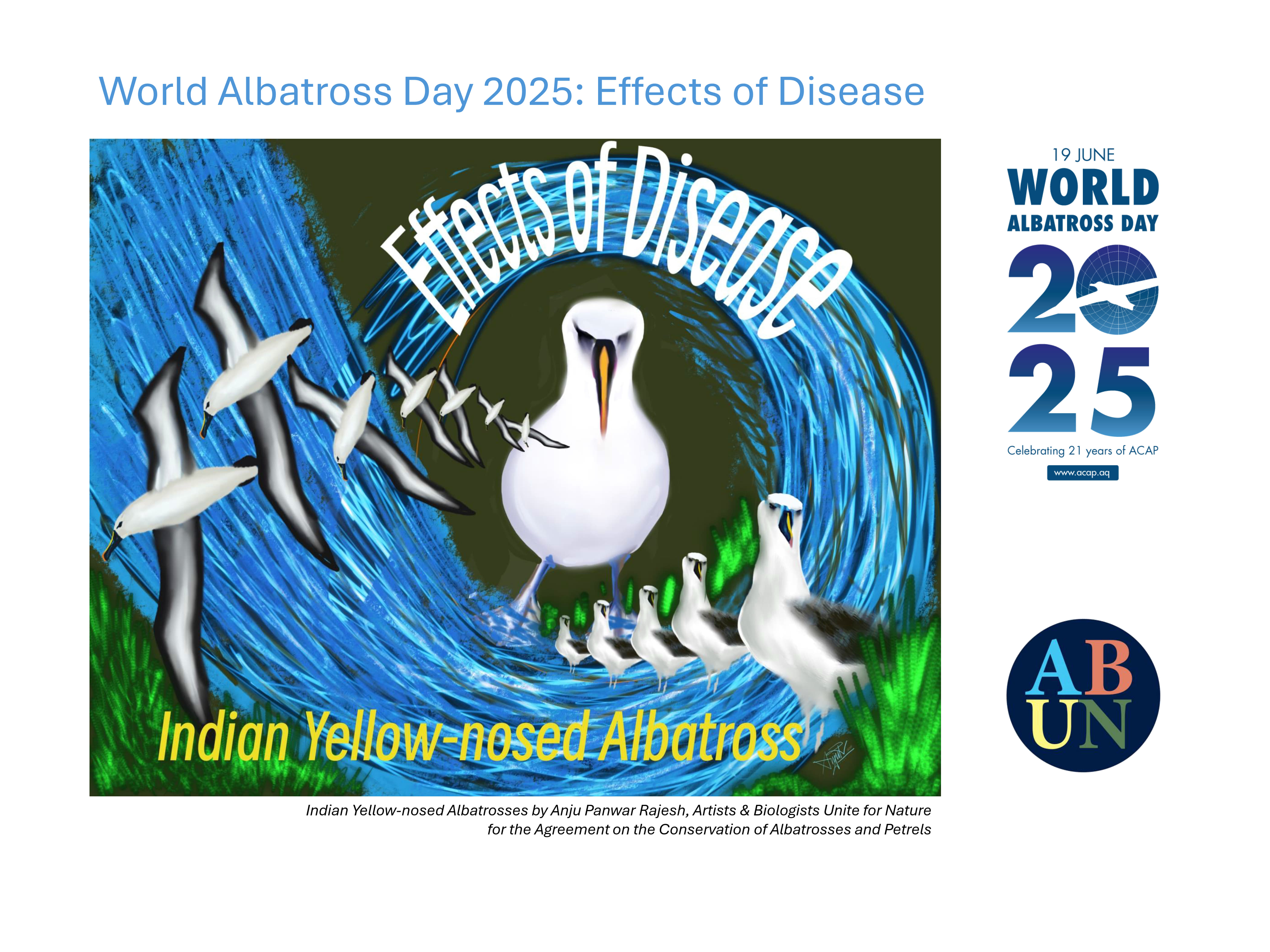 WAD2025_Indian_Yellow-nosed_Albatrosses_by_Anju_Panwar_Rajesh.jpg