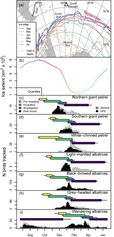 Wakefield sea ice tracking