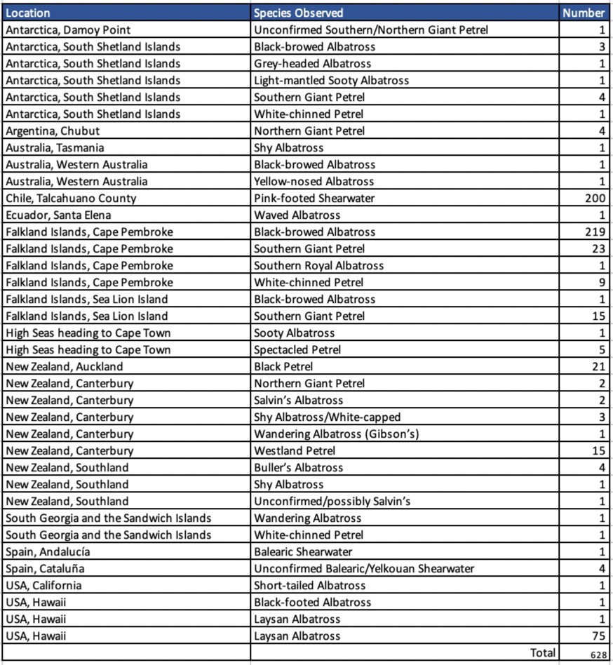 2023GBBC Procellariiformes