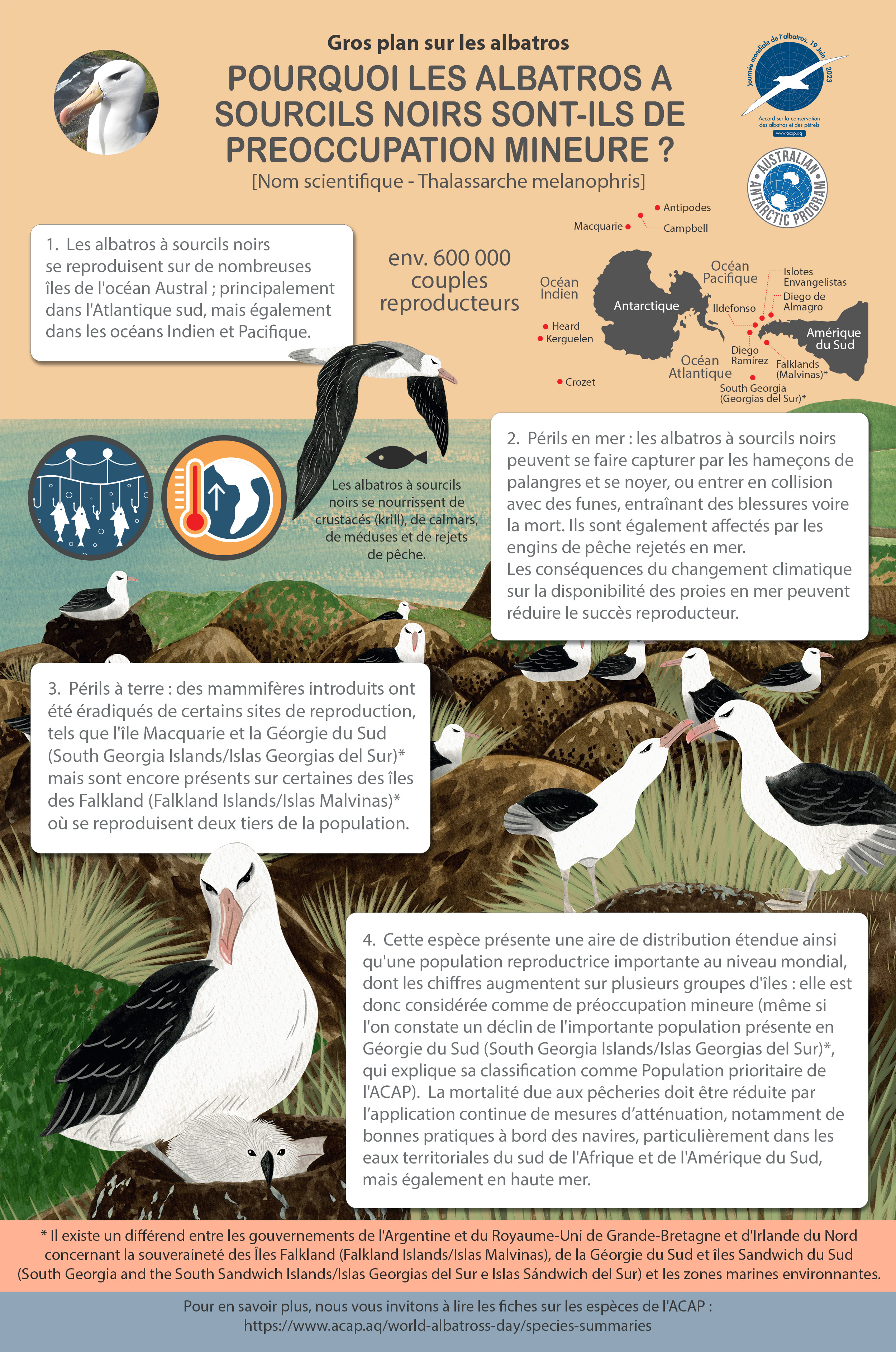 Black browed Albatross Infographic web version French