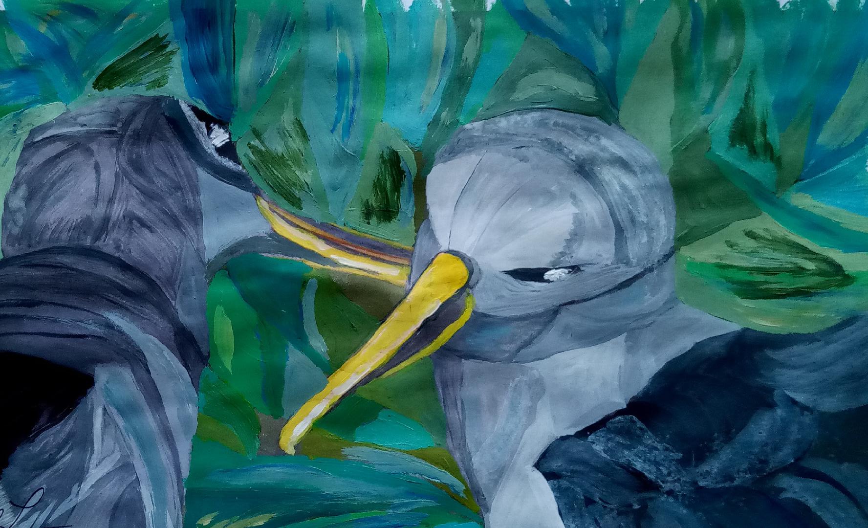 Bullers Albatrosses Ellyn Bousman Lentz Will you be Mine