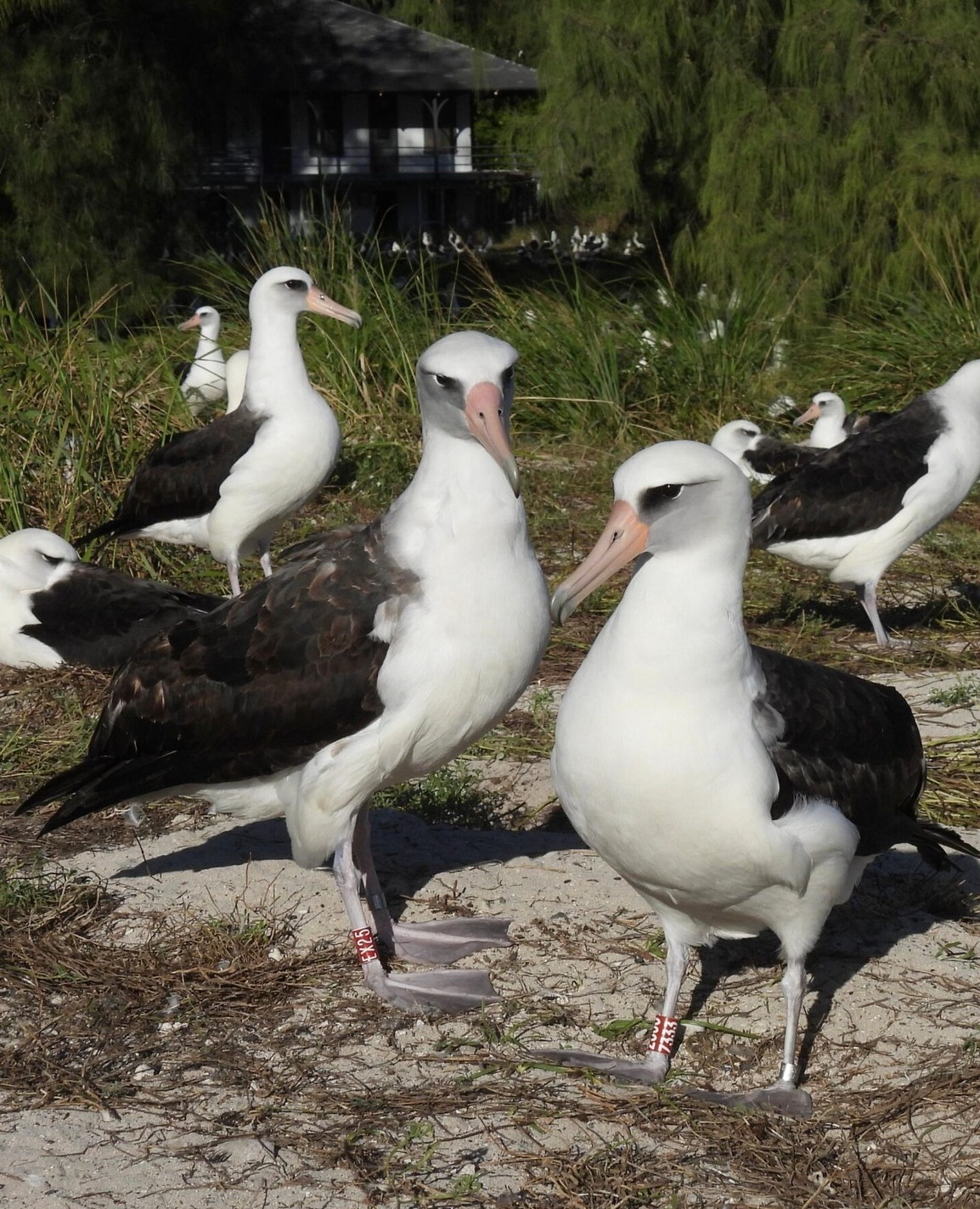 Wisdom and mate EX25 Nov 2025 Dan Rapp