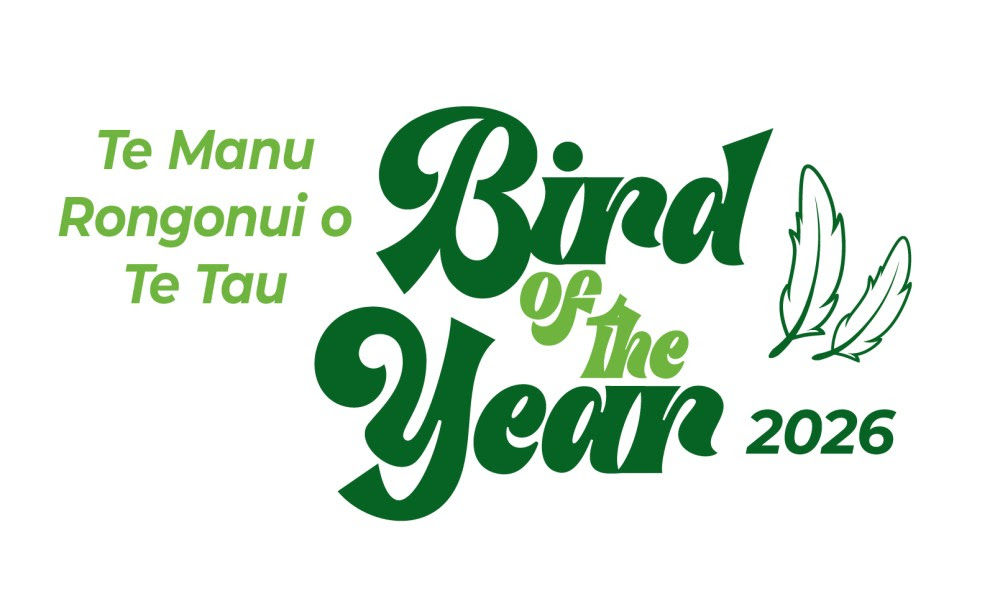 BOTY NZ 2026