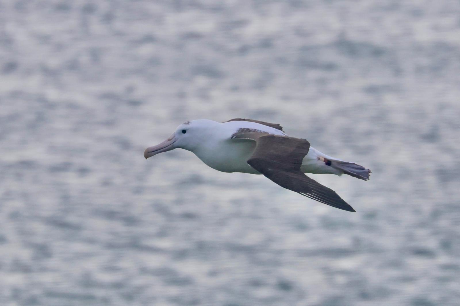 Zach Barford YRK in flight Tue 17 Sept 2024