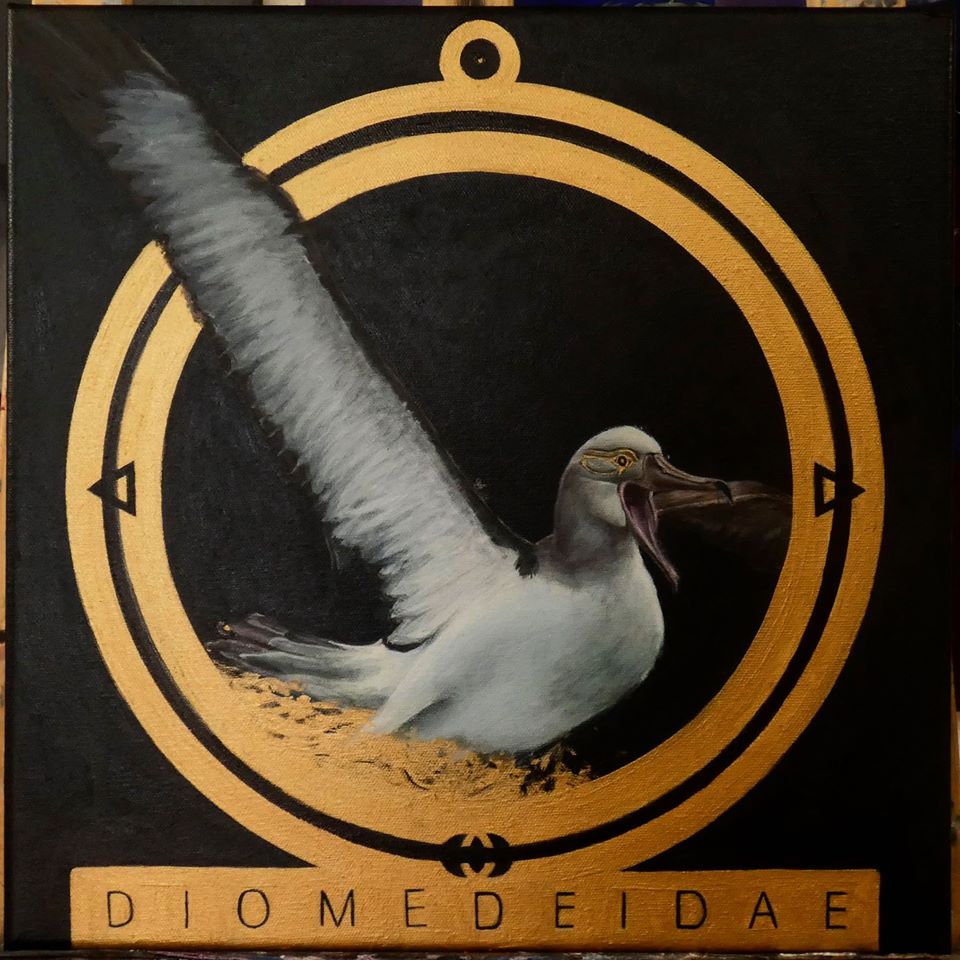 Salvins Albatross 1 Ignacio Domenech
