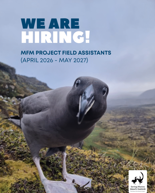 We are Hiring 2026 2027 600x750