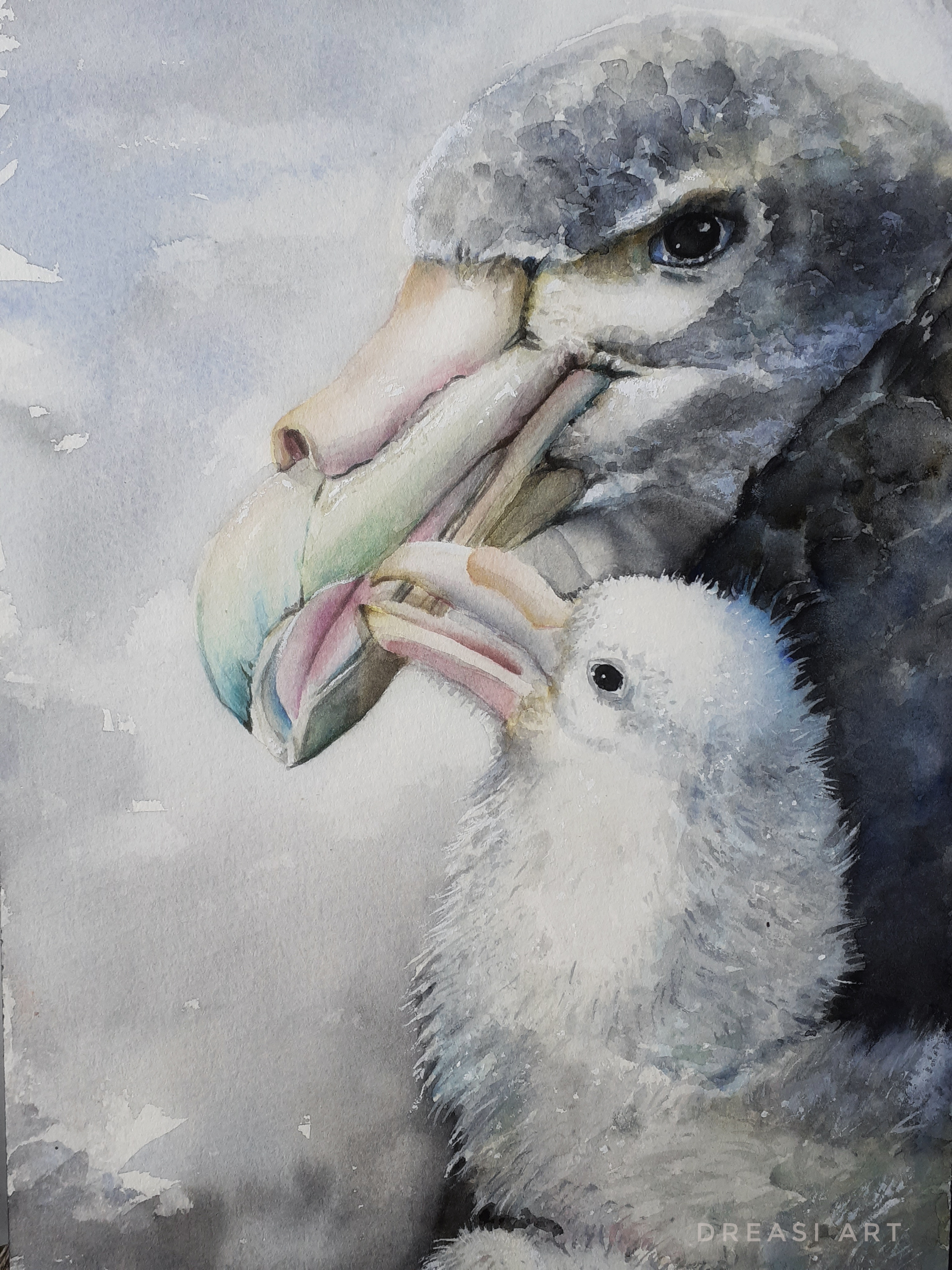 Andrea Siemt Southern Giant Petrel Schmincke Aquarell on Sanders Waterford 300 g rough 31 x 23 cm Gough Michelle Risi