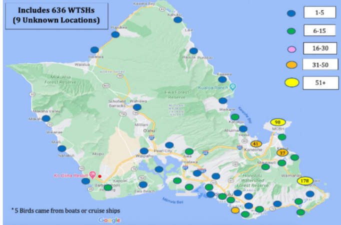 Wedgie fall out Light pollution report