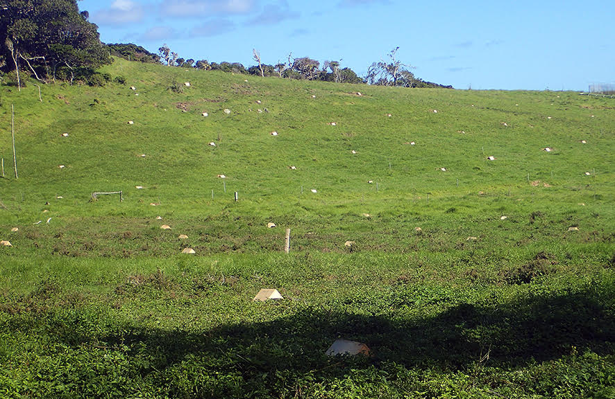 Agreement on the Conservation of Albatrosses and Petrels - UPDATED. THE ...