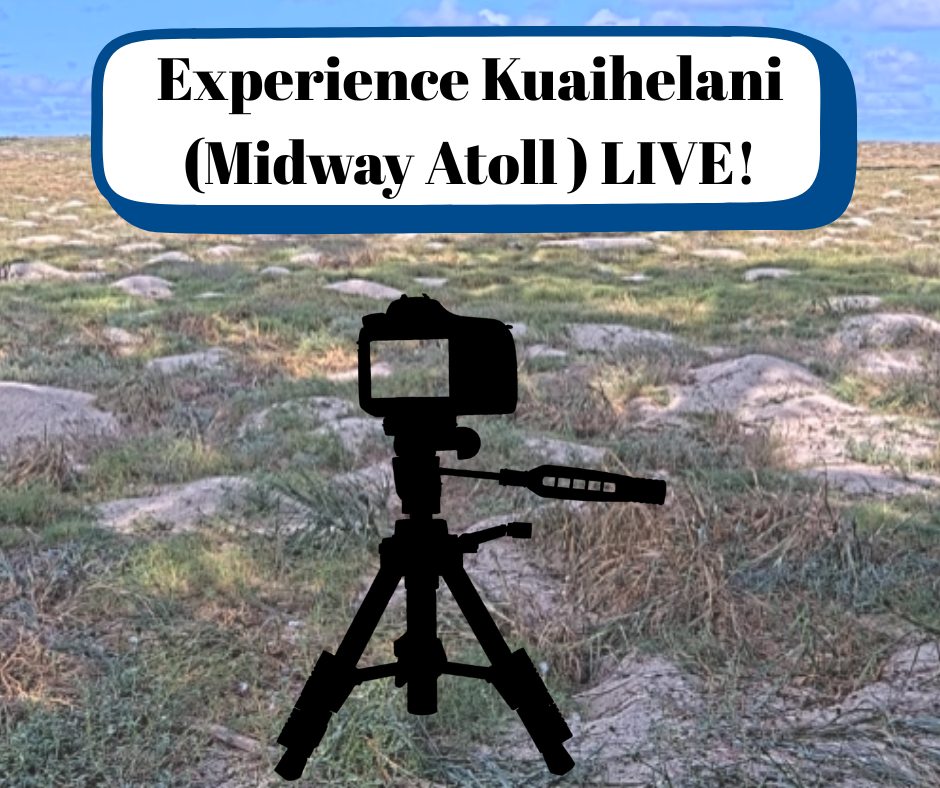 Midway Cam