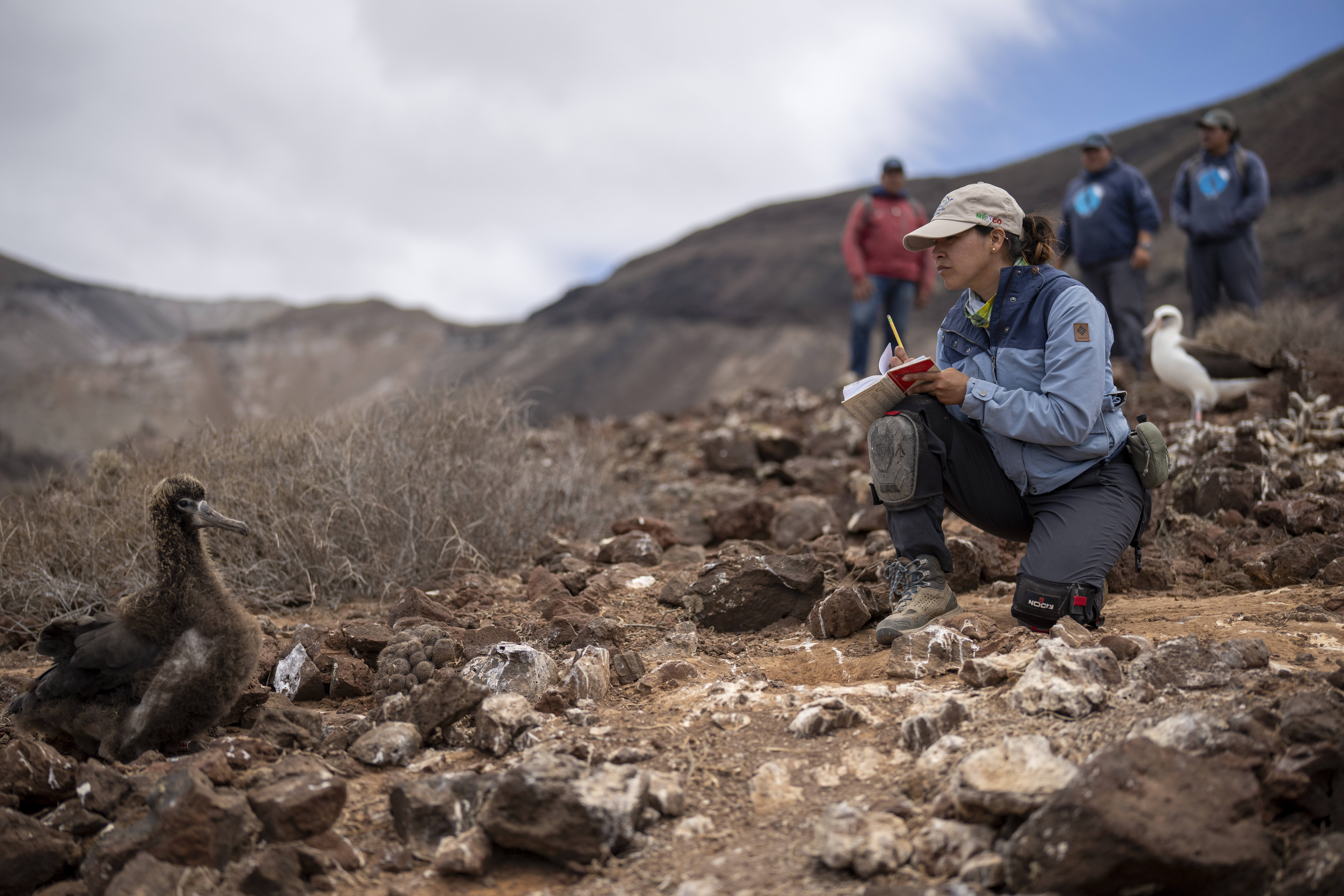 UN World Restoration Flagship Comprehensive Island Restoration in Mexico Todd Brown